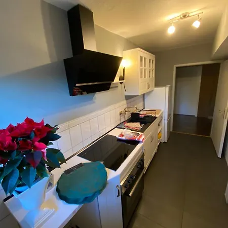 Le Petit Charme - Wohnen In Einer Historischen Appartement