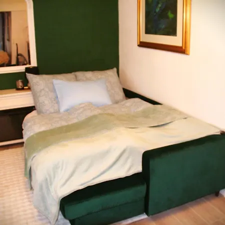 Le Petit Charme - Wohnen In Einer Historischen Apartment Suhl